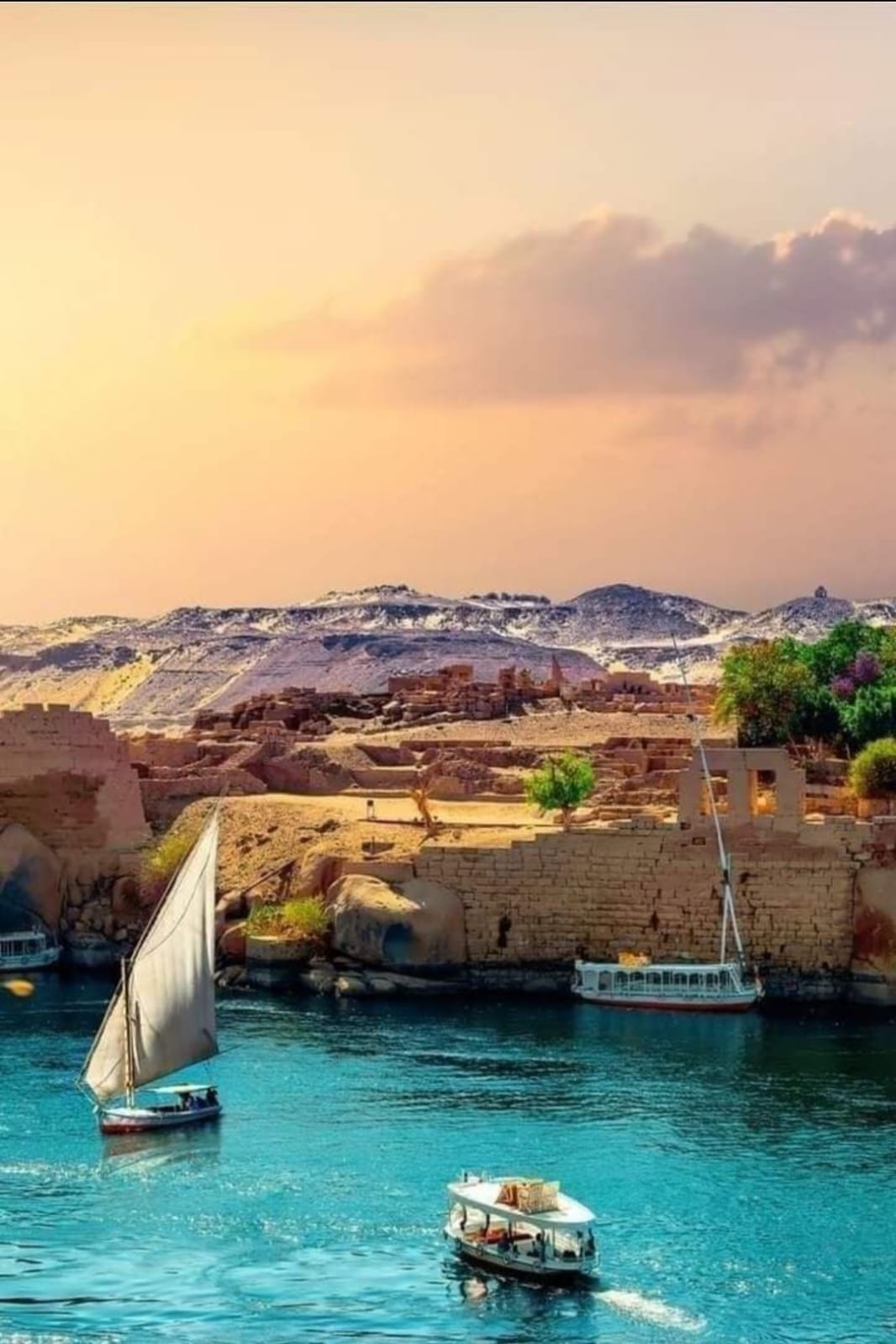 Nile cruise